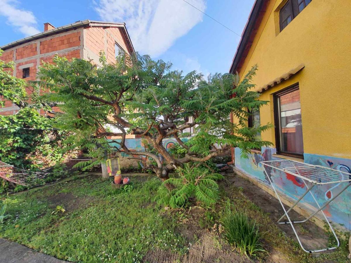 Garickina Kuca Apartment Pirot Exterior photo
